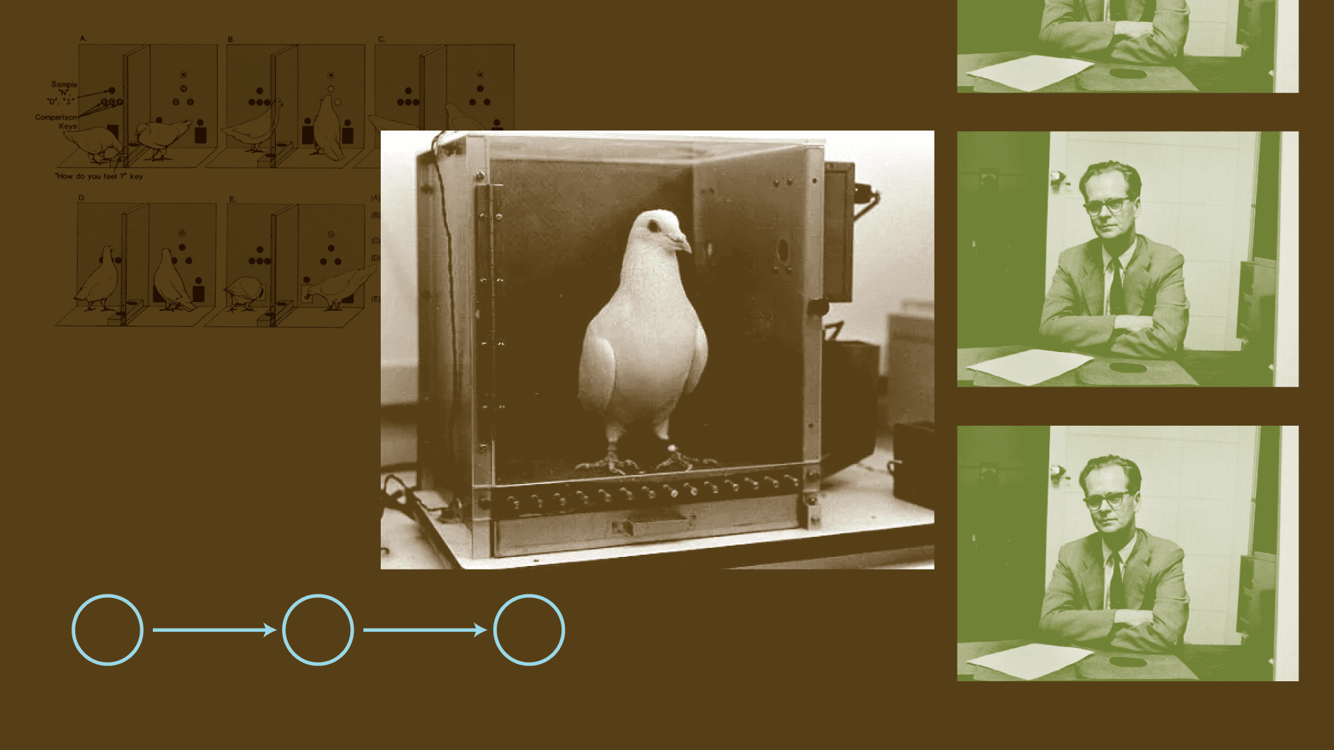 Función en oposición a Causa-Efecto