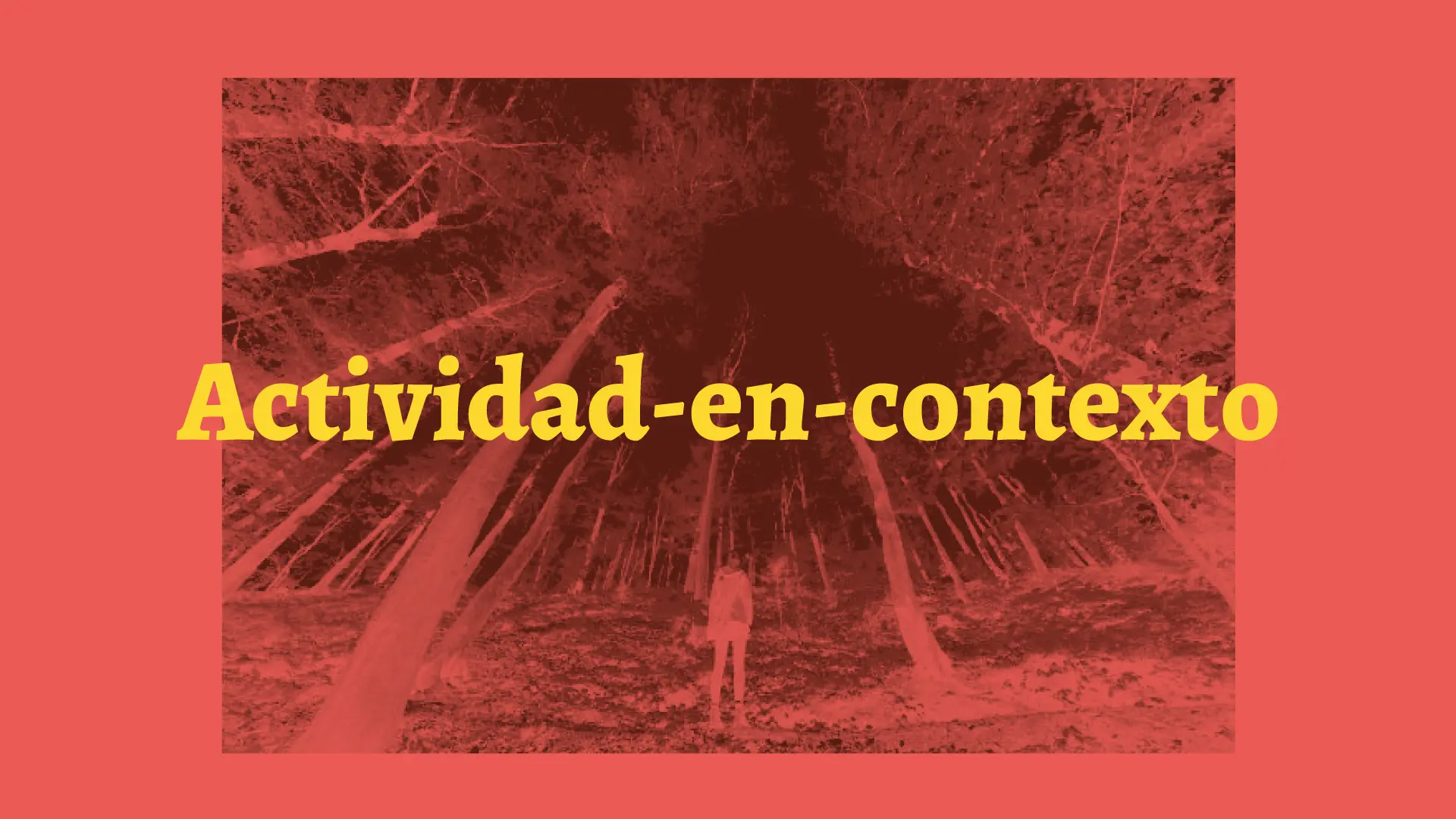 Análisis funcional de la coherencia operacional